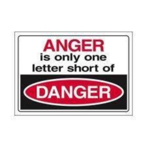 Leadrship - anger is one letter short of danger_zps3cd113ab